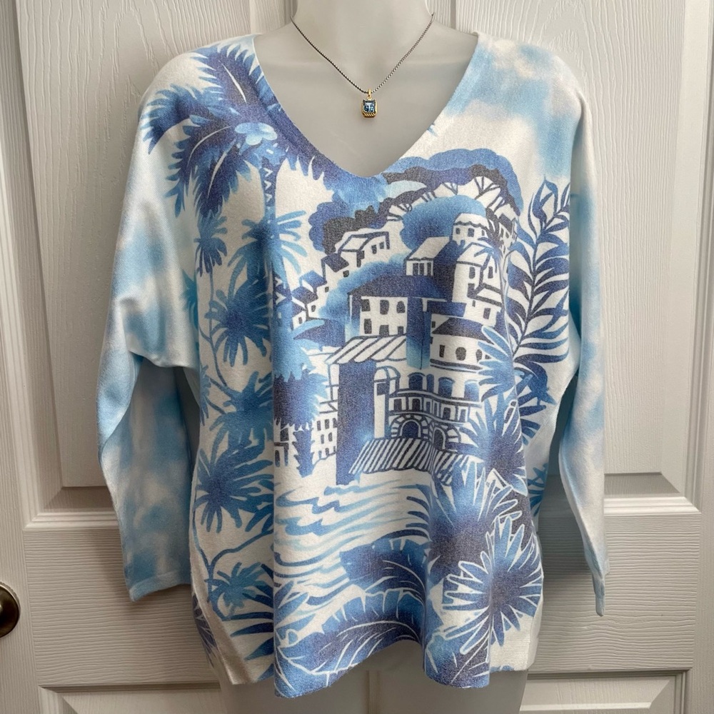 SIONI BLUE SCENERY PRINT SWEATER NWT MISSES SIZE LARGE